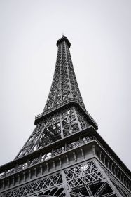 French for Beginners: Promo class (Group A)